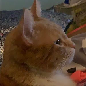 Meet your Posher, Alana